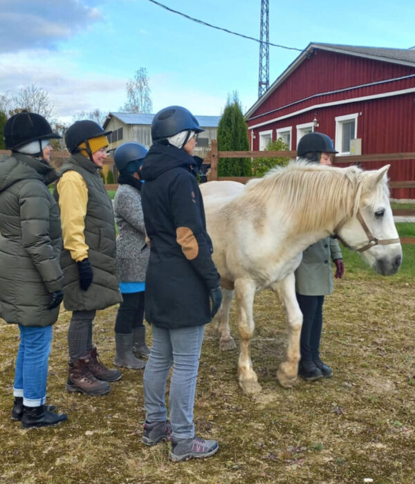 Adobe Express - file (1)