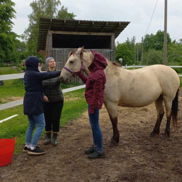 Adobe Express - file