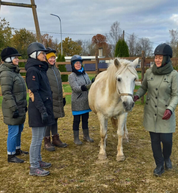 Adobe Express - file (2)