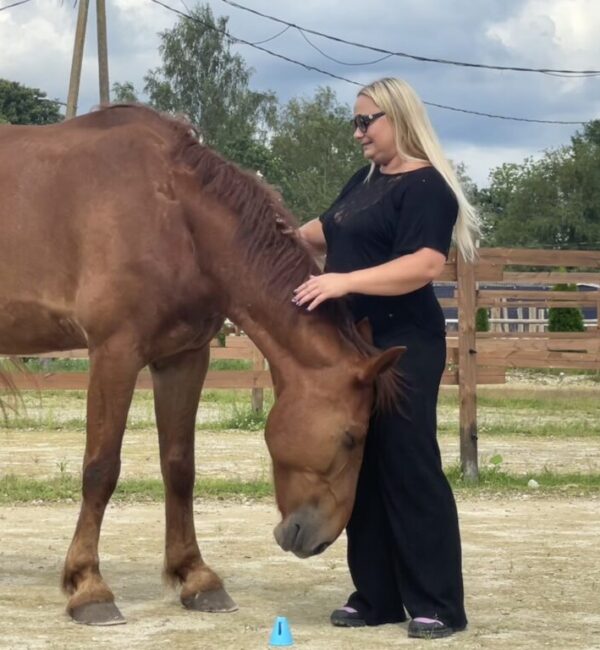 hobucoaching, individuaalne coaching, hobust kaasav coaching, hobu-coaching